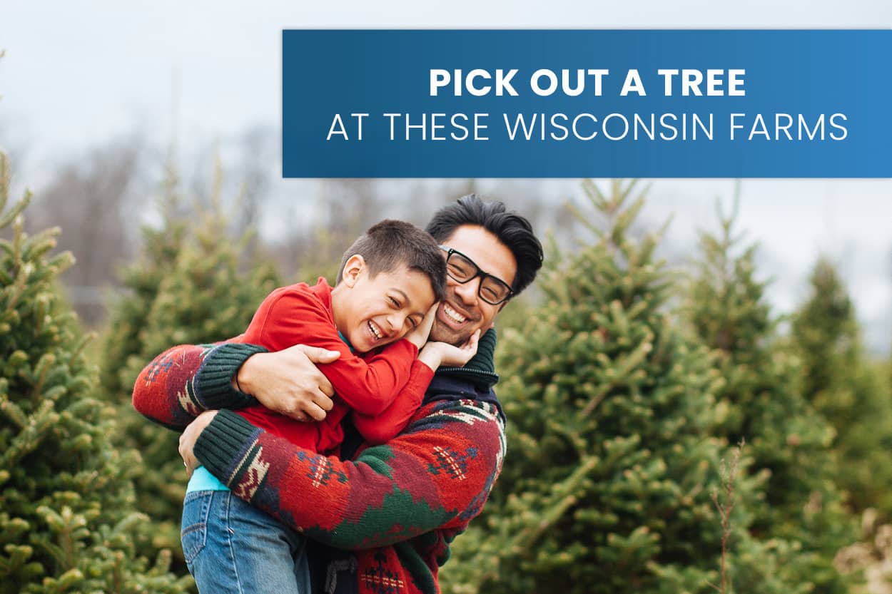 Pick Out a Tree At These Wisconsin Farms Stark Company Realtors