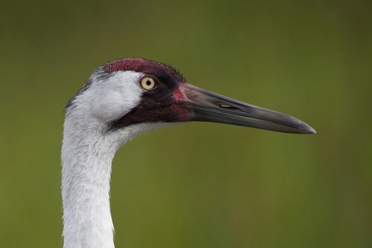 Baraboo, WI Homes for Sale Baraboo Real Estate Stark Company Realtors