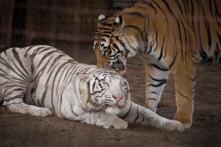 Baraboo, WI Homes for Sale Baraboo Real Estate Stark Company Realtors