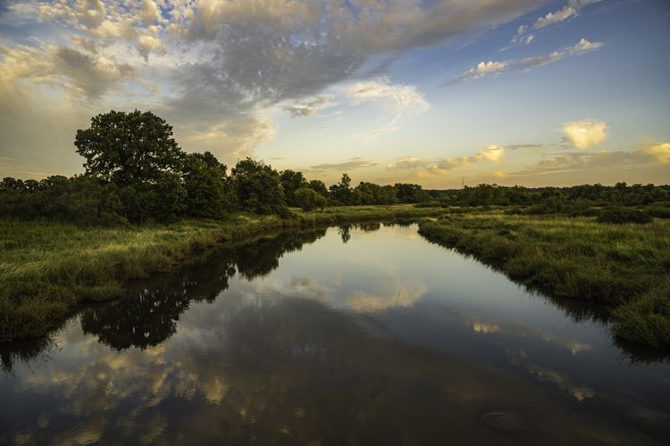 Belleville Realtors Homes for Sale in Belleville, WI Stark Company