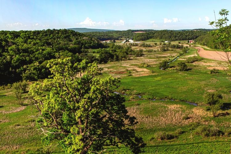 Black Earth, WI Homes for Sale Black Earth Realtors Stark Company