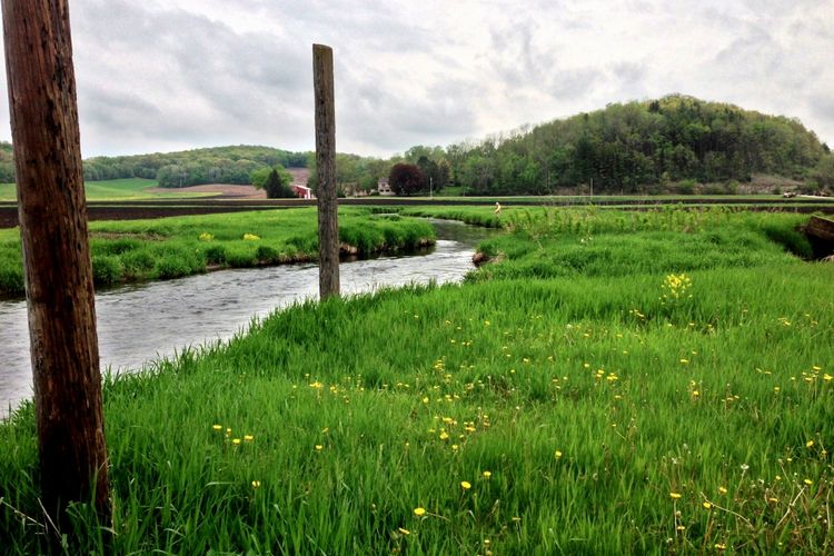 Cross Plains, WI Homes for Sale Cross Plains Realtors Stark Company