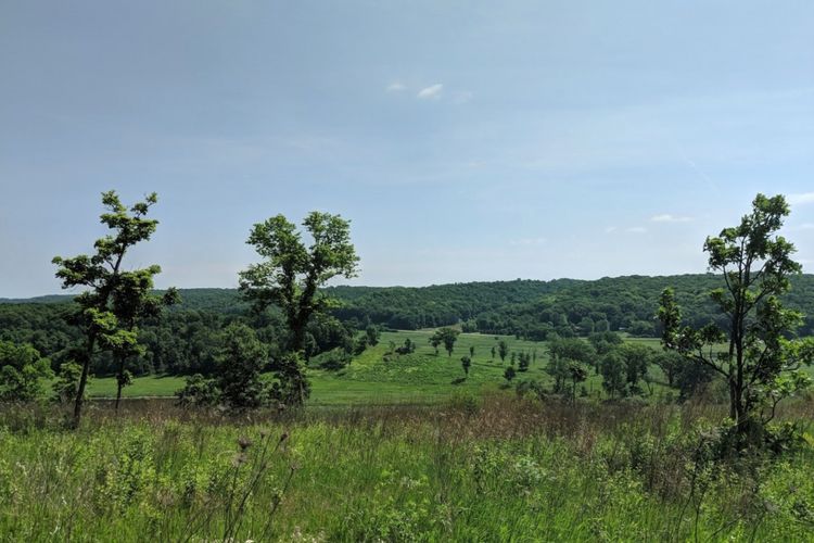 Cross Plains, WI Homes for Sale Cross Plains Realtors Stark Company