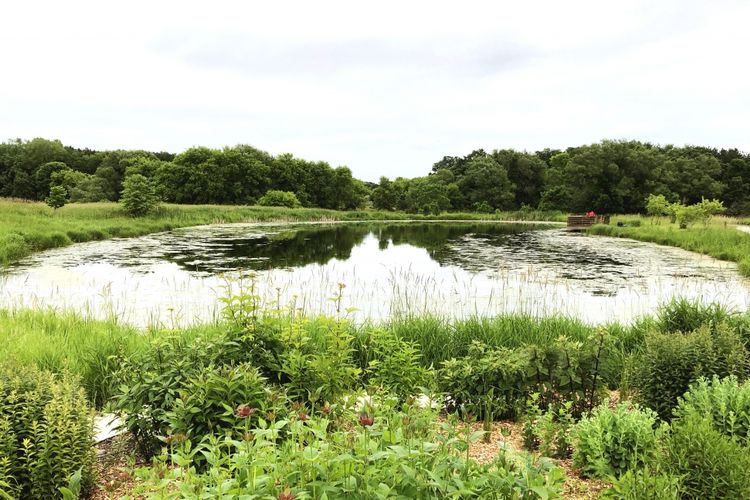 DeForest, WI Homes for Sale & Real Estate