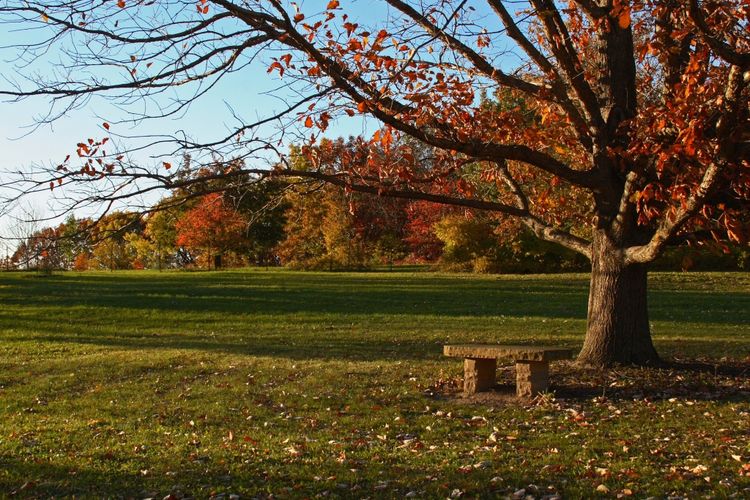 Madison, WI Homes for Sale Madison Realtors Stark Company Realtors