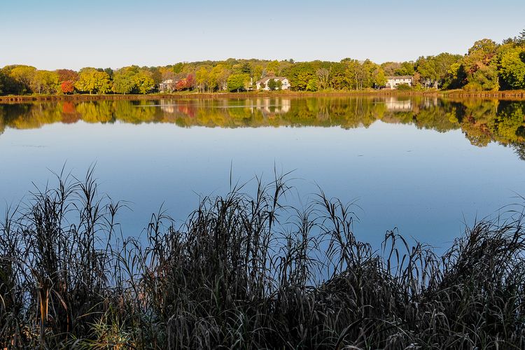 Middleton, WI Real Estate Homes for Sale in Middleton Stark Company