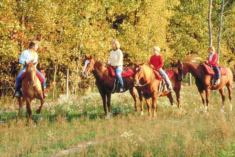 Oregon, WI Homes for Sale Oregon Realtors Stark Company Realtors