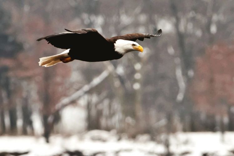 Sauk Prairie Homes for Sale Sauk Prairie Real Estate Stark Company