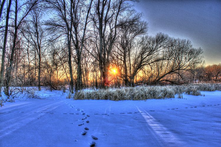 Stoughton Homes for Sale Stoughton, WI Real Estate Stark Company