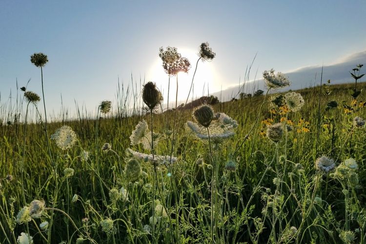 Waunakee Homes for Sale Waunakee, WI Realtors Stark Company Realtors