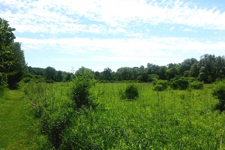 Waunakee Homes for Sale Waunakee, WI Realtors Stark Company Realtors