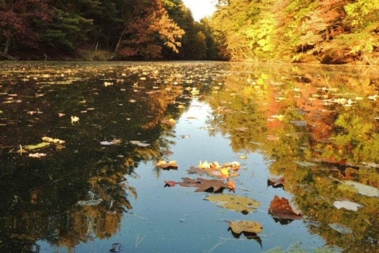 Wisconsin Dells, WI Realtors Homes for Sale in Wisconsin Dells